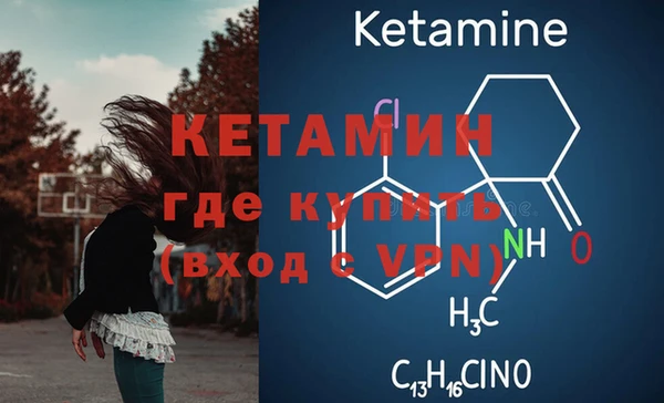 СК Алексин