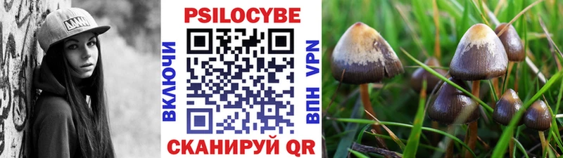 Галлюциногенные грибы прущие грибы Сольвычегодск