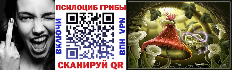 Галлюциногенные грибы Psilocybe  Сольвычегодск 